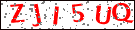 captcha�摜
