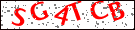 captcha�摜